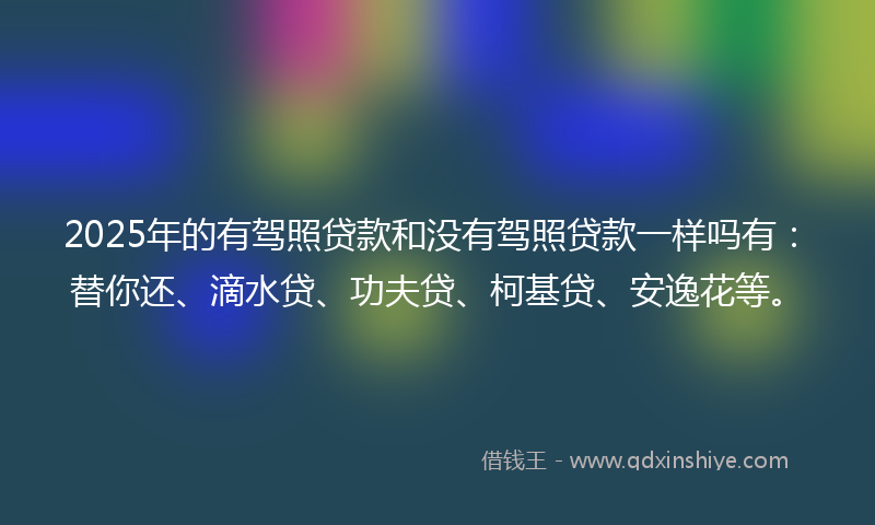 2025年的有驾照贷款和没有驾照贷款一样吗有：替你还、滴水贷、功夫贷、柯基贷、安逸花等。