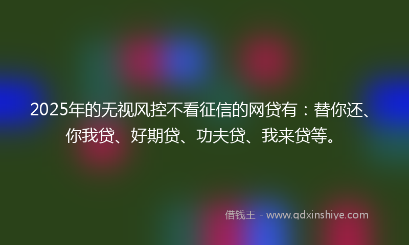 2025年的无视风控不看征信的网贷有：替你还、你我贷、好期贷、功夫贷、我来贷等。