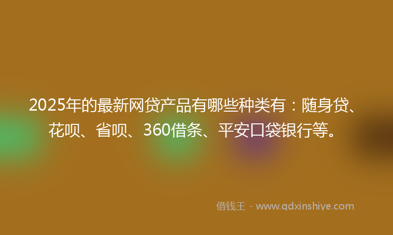 2025年的最新网贷产品有哪些种类有：随身贷、花呗、省呗、360借条、平安口袋银行等。