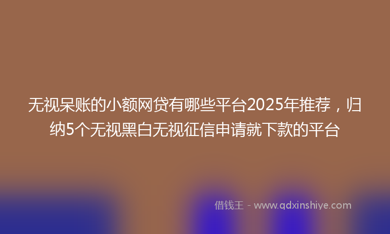 无视呆账的小额网贷有哪些平台2025年推荐，归纳5个无视黑白无视征信申请就下款的平台