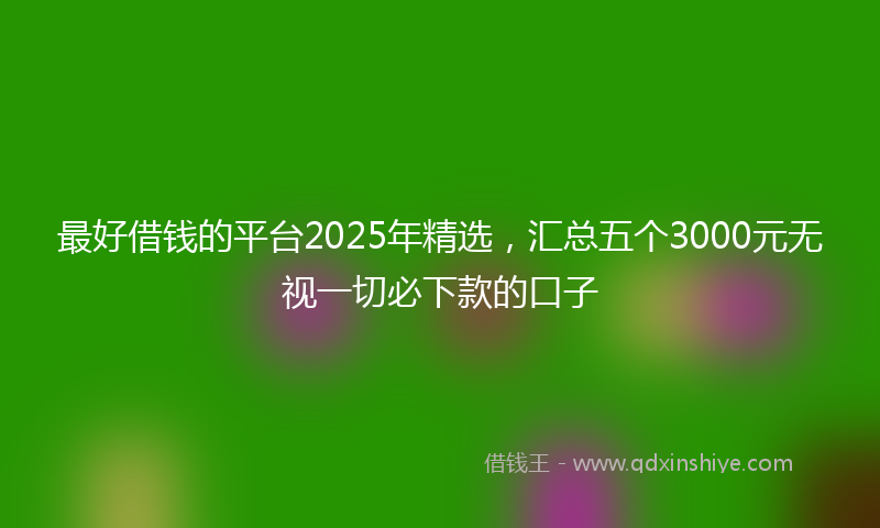 最好借钱的平台2025年精选，汇总五个3000元无视一切必下款的口子
