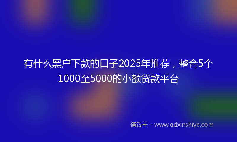 有什么黑户下款的口子2025年推荐，整合5个1000至5000的小额贷款平台