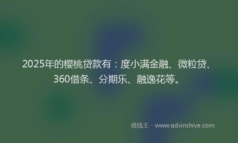 2025年的樱桃贷款有：度小满金融、微粒贷、360借条、分期乐、融逸花等。