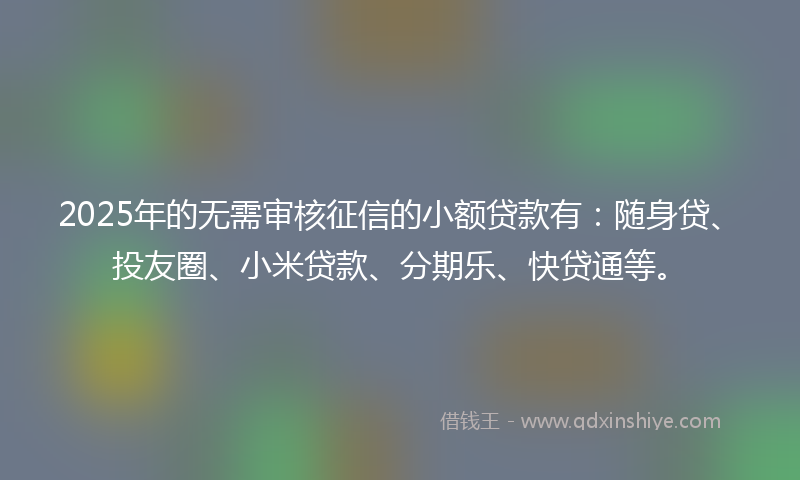 2025年的无需审核征信的小额贷款有：随身贷、投友圈、小米贷款、分期乐、快贷通等。