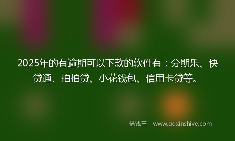 2025年的有逾期可以下款的软件有：分期乐、快贷通、拍拍贷、小花钱包、信用卡贷等。