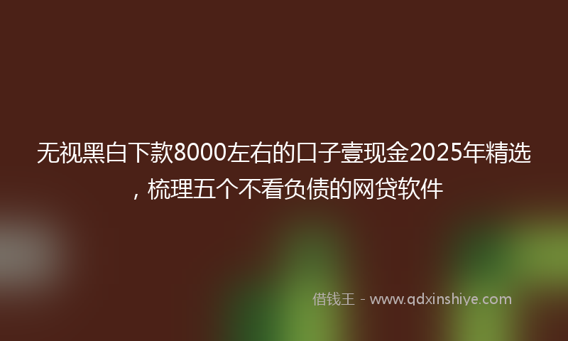 无视黑白下款8000左右的口子壹现金2025年精选，梳理五个不看负债的网贷软件