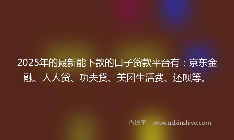 2025年的最新能下款的口子贷款平台有：京东金融、人人贷、功夫贷、美团生活费、还呗等。