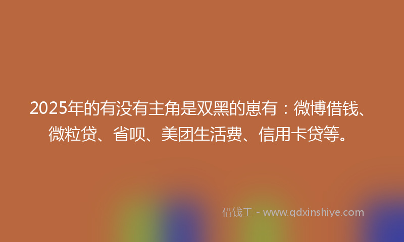 2025年的有没有主角是双黑的崽有：微博借钱、微粒贷、省呗、美团生活费、信用卡贷等。