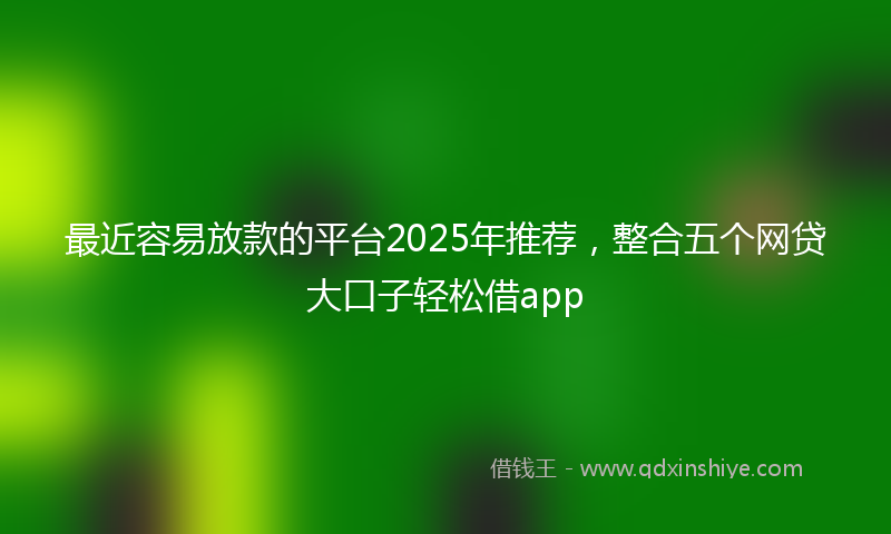 最近容易放款的平台2025年推荐，整合五个网贷大口子轻松借app