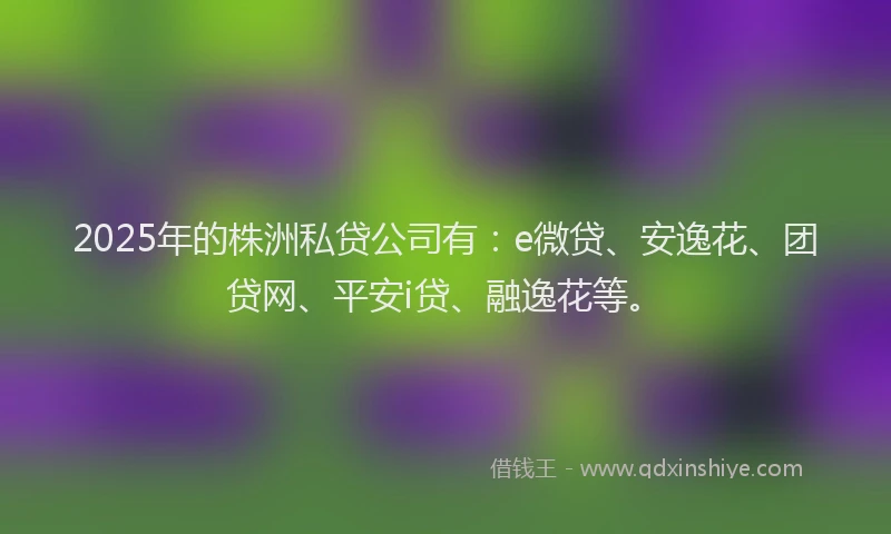 2025年的株洲私贷公司有：e微贷、安逸花、团贷网、平安i贷、融逸花等。