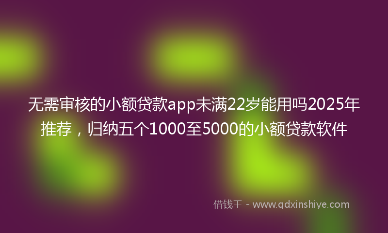 无需审核的小额贷款app未满22岁能用吗2025年推荐，归纳五个1000至5000的小额贷款软件