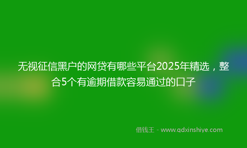 无视征信黑户的网贷有哪些平台2025年精选，整合5个有逾期借款容易通过的口子