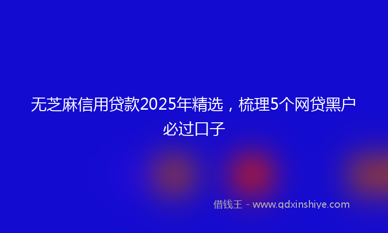 无芝麻信用贷款2025年精选，梳理5个网贷黑户必过口子