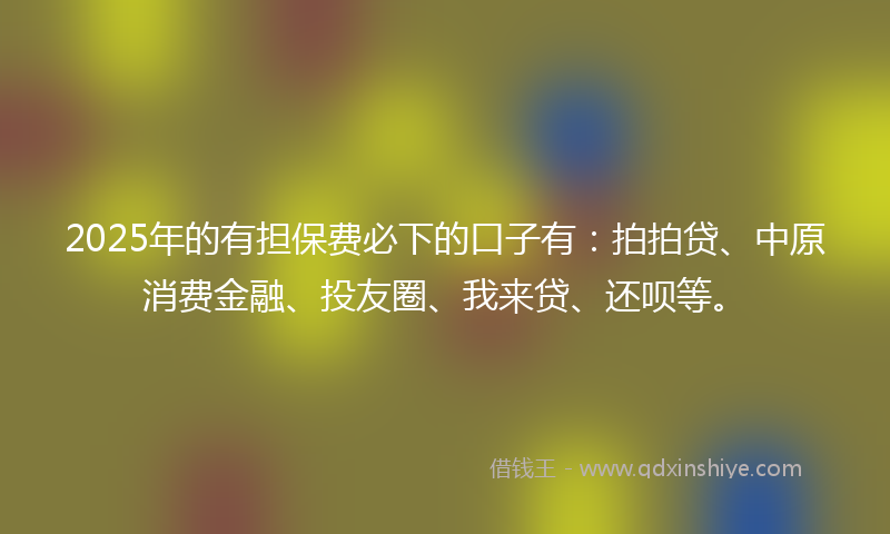 2025年的有担保费必下的口子有：拍拍贷、中原消费金融、投友圈、我来贷、还呗等。