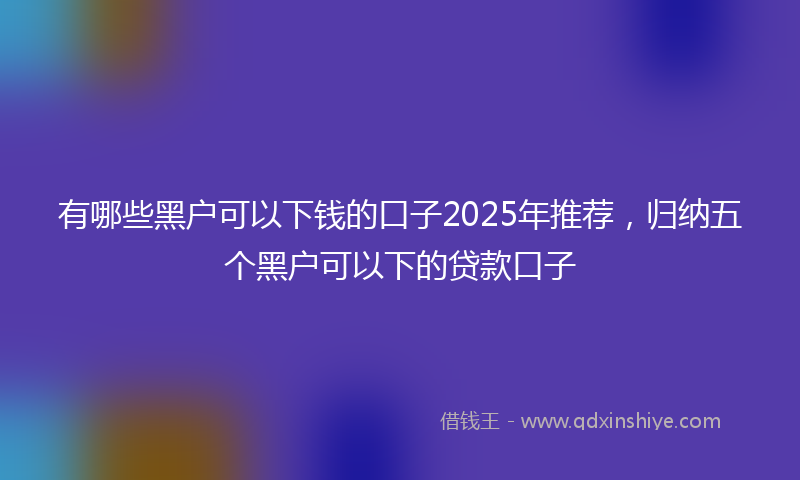 有哪些黑户可以下钱的口子2025年推荐，归纳五个黑户可以下的贷款口子