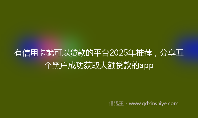 有信用卡就可以贷款的平台2025年推荐，分享五个黑户成功获取大额贷款的app