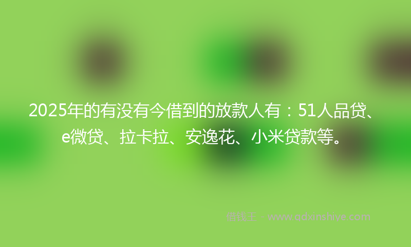 2025年的有没有今借到的放款人有：51人品贷、e微贷、拉卡拉、安逸花、小米贷款等。