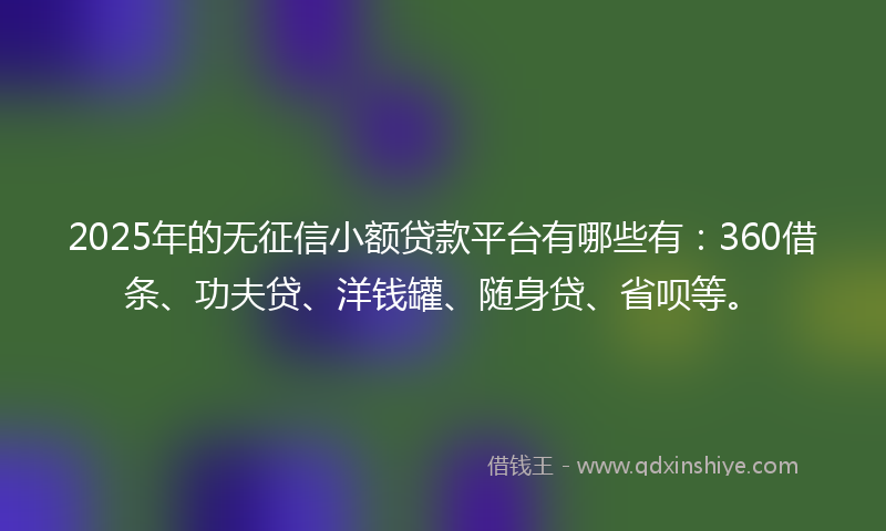 2025年的无征信小额贷款平台有哪些有：360借条、功夫贷、洋钱罐、随身贷、省呗等。