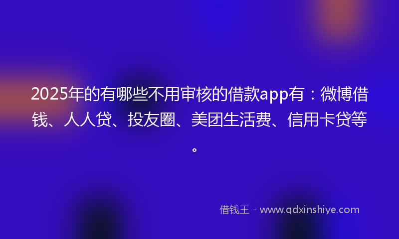 2025年的有哪些不用审核的借款app有：微博借钱、人人贷、投友圈、美团生活费、信用卡贷等。