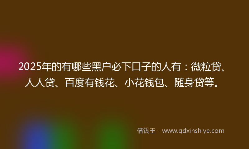 2025年的有哪些黑户必下口子的人有：微粒贷、人人贷、百度有钱花、小花钱包、随身贷等。