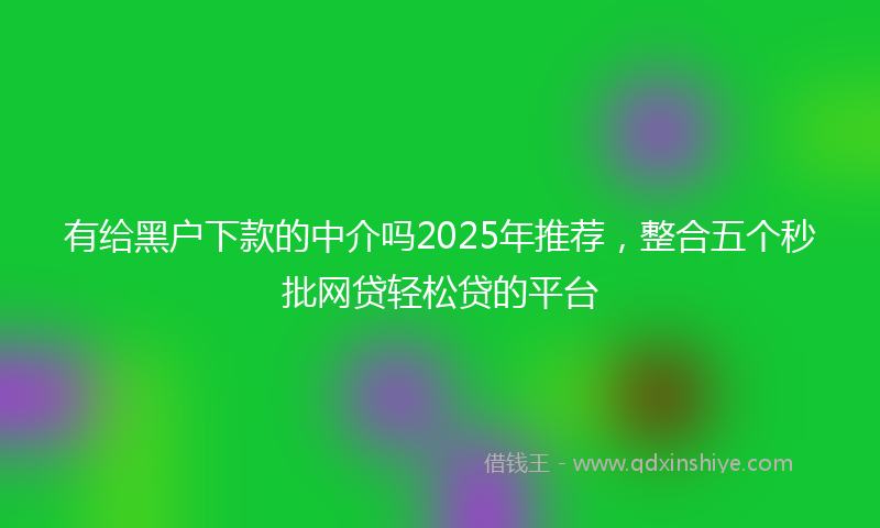 有给黑户下款的中介吗2025年推荐，整合五个秒批网贷轻松贷的平台
