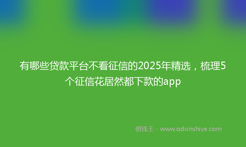 有哪些贷款平台不看征信的2025年精选，梳理5个征信花居然都下款的app