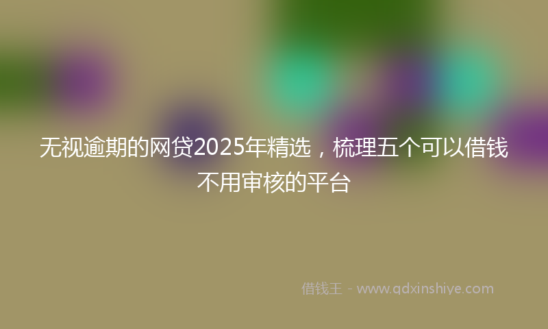 无视逾期的网贷2025年精选，梳理五个可以借钱不用审核的平台