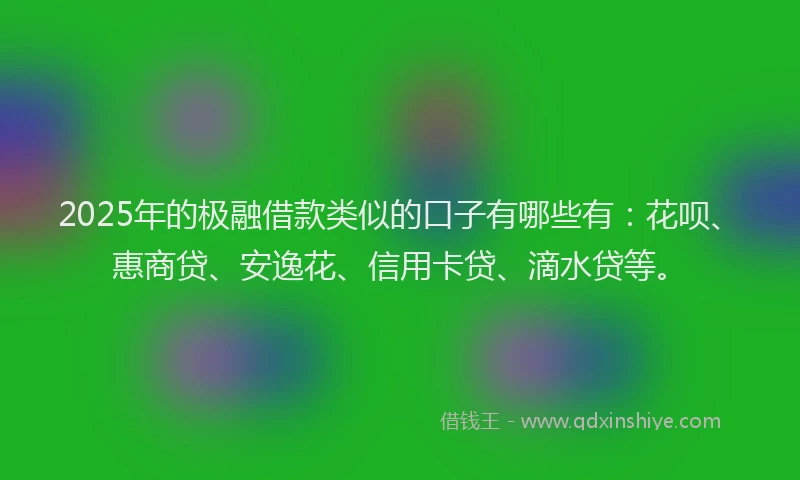2025年的极融借款类似的口子有哪些有：花呗、惠商贷、安逸花、信用卡贷、滴水贷等。