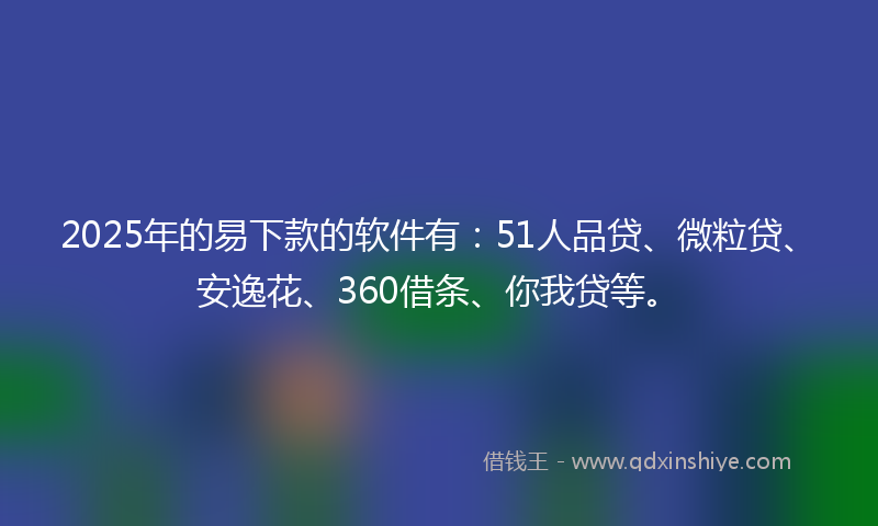 2025年的易下款的软件有:51人品贷、微粒贷、安逸花、360借条、你我贷等。