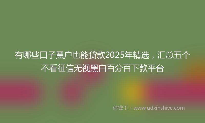 有哪些口子黑户也能贷款2025年精选，汇总五个不看征信无视黑白百分百下款平台