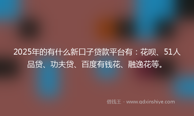 2025年的有什么新口子贷款平台有：花呗、51人品贷、功夫贷、百度有钱花、融逸花等。