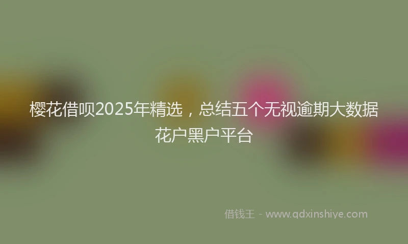 樱花借呗2025年精选，总结五个无视逾期大数据花户黑户平台