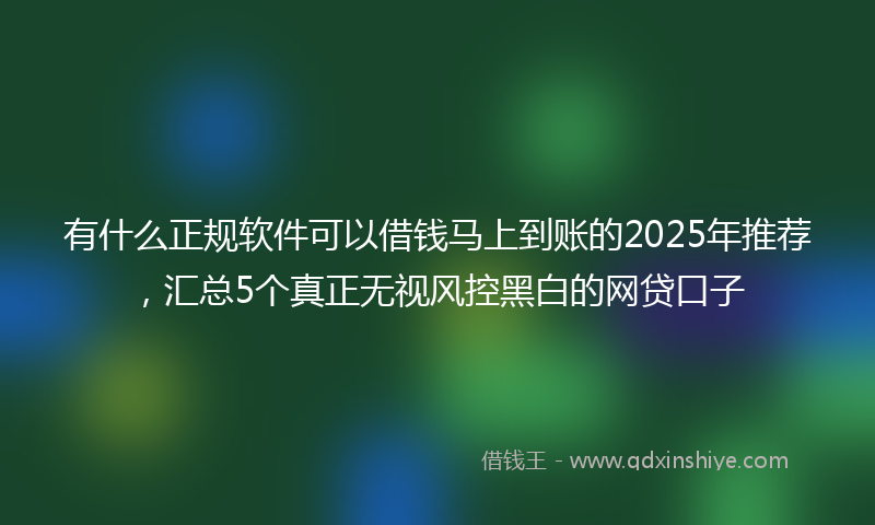 有什么正规软件可以借钱马上到账的2025年推荐，汇总5个真正无视风控黑白的网贷口子