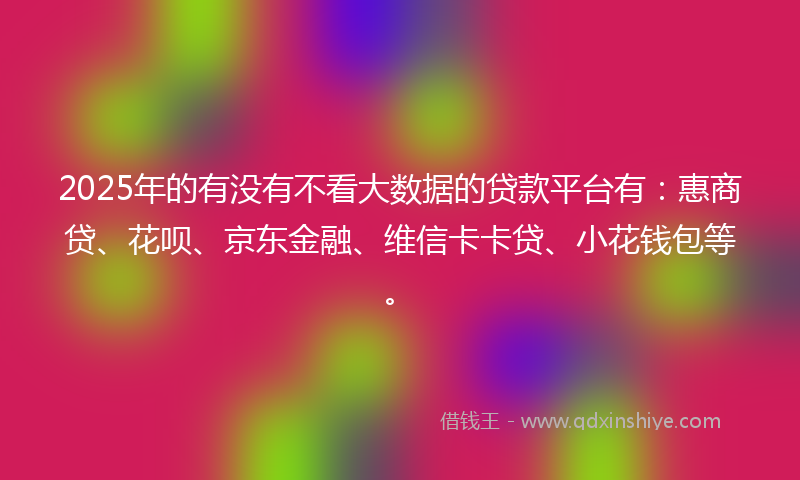2025年的有没有不看大数据的贷款平台有：惠商贷、花呗、京东金融、维信卡卡贷、小花钱包等。