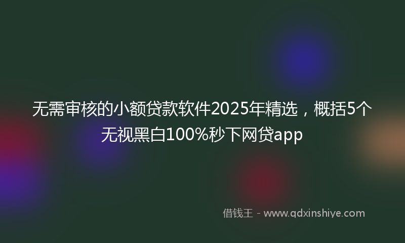 无需审核的小额贷款软件2025年精选，概括5个无视黑白100%秒下网贷app