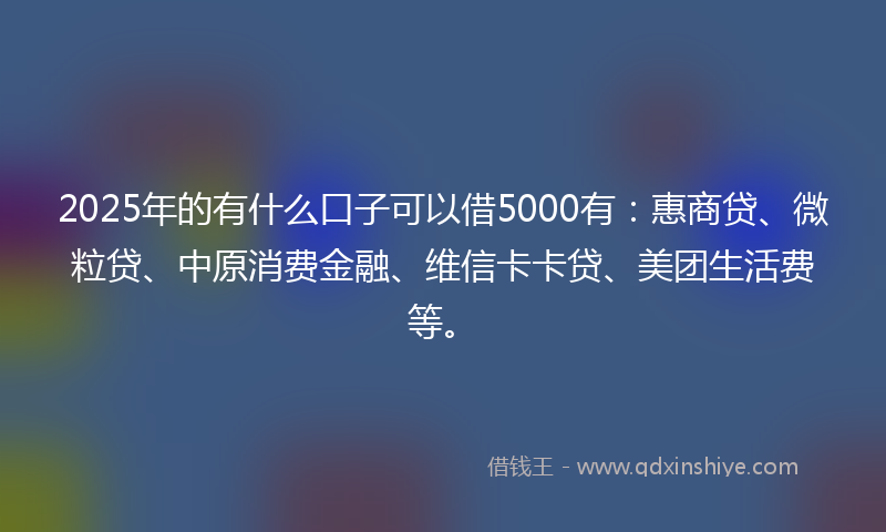 2025年的有什么口子可以借5000有：惠商贷、微粒贷、中原消费金融、维信卡卡贷、美团生活费等。