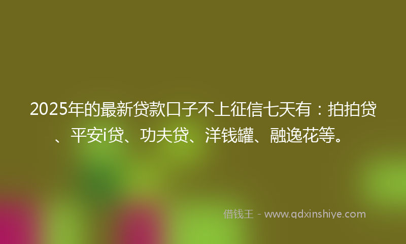2025年的最新贷款口子不上征信七天有：拍拍贷、平安i贷、功夫贷、洋钱罐、融逸花等。