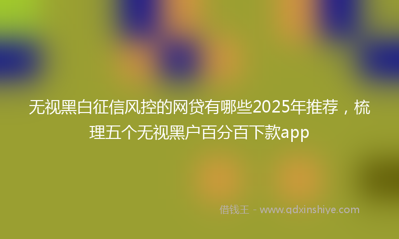 无视黑白征信风控的网贷有哪些2025年推荐，梳理五个无视黑户百分百下款app
