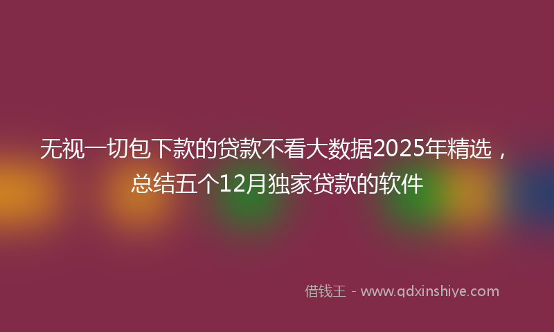无视一切包下款的贷款不看大数据2025年精选，总结五个12月独家贷款的软件