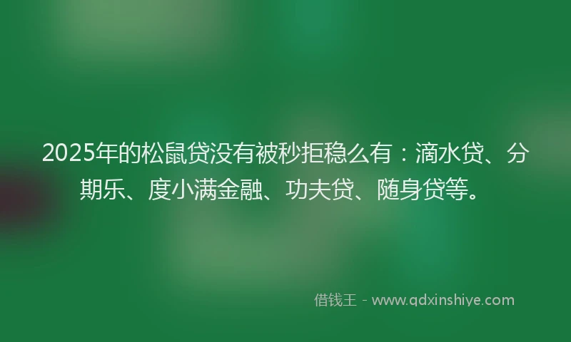 2025年的松鼠贷没有被秒拒稳么有：滴水贷、分期乐、度小满金融、功夫贷、随身贷等。
