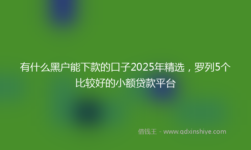 有什么黑户能下款的口子2025年精选，罗列5个比较好的小额贷款平台