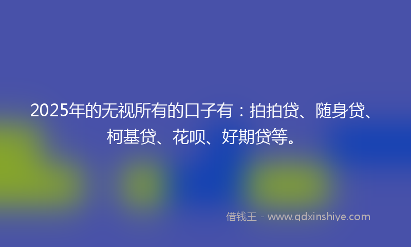 2025年的无视所有的口子有：拍拍贷、随身贷、柯基贷、花呗、好期贷等。