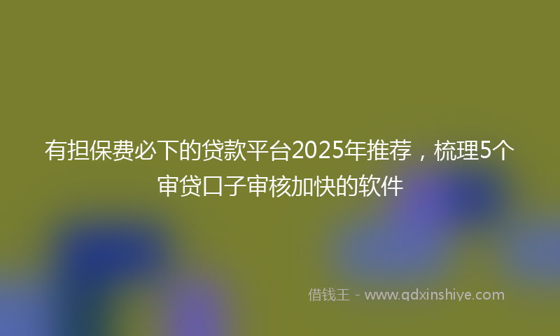 有担保费必下的贷款平台2025年推荐，梳理5个审贷口子审核加快的软件