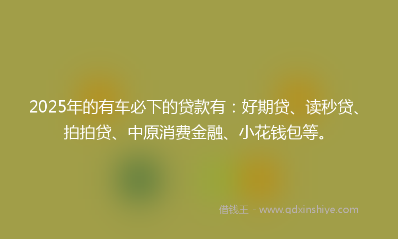 2025年的有车必下的贷款有：好期贷、读秒贷、拍拍贷、中原消费金融、小花钱包等。
