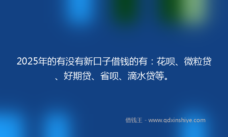 2025年的有没有新口子借钱的有：花呗、微粒贷、好期贷、省呗、滴水贷等。
