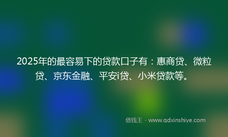 2025年的最容易下的贷款口子有：惠商贷、微粒贷、京东金融、平安i贷、小米贷款等。