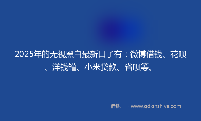 2025年的无视黑白最新口子有：微博借钱、花呗、洋钱罐、小米贷款、省呗等。
