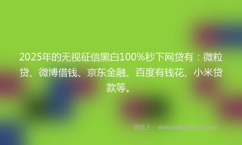 2025年的无视征信黑白100%秒下网贷有：微粒贷、微博借钱、京东金融、百度有钱花、小米贷款等。