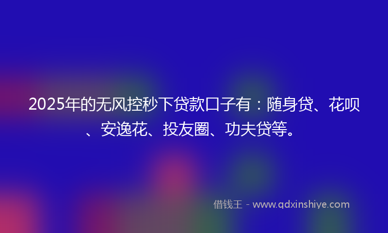 2025年的无风控秒下贷款口子有：随身贷、花呗、安逸花、投友圈、功夫贷等。