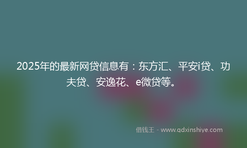 2025年的最新网贷信息有：东方汇、平安i贷、功夫贷、安逸花、e微贷等。